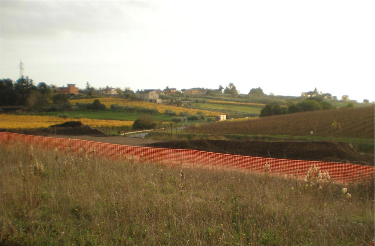 immagine annuncio 3 di 8