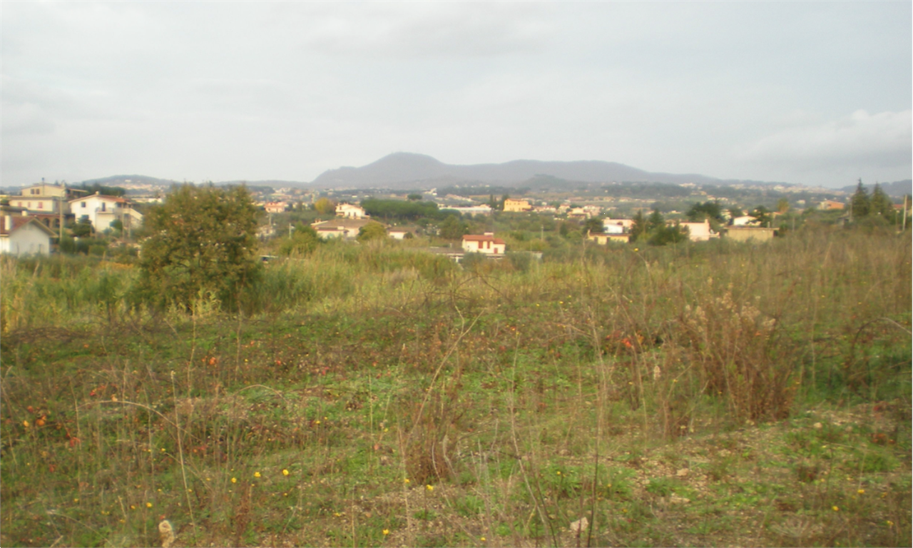 immagine annuncio 7 di 8