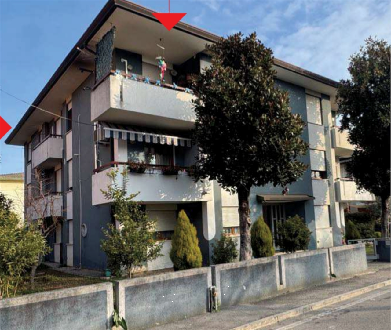 immagine annuncio 1 di 10