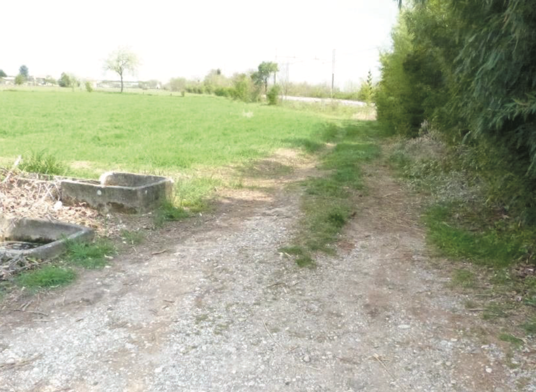 immagine annuncio 8 di 10