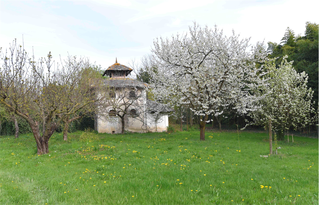 immagine annuncio 6 di 10