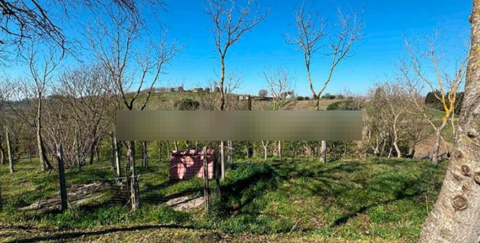 immagine annuncio 1 di 10