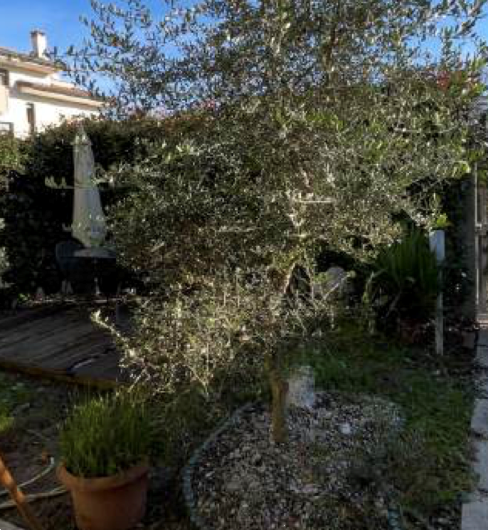 immagine annuncio 1 di 10