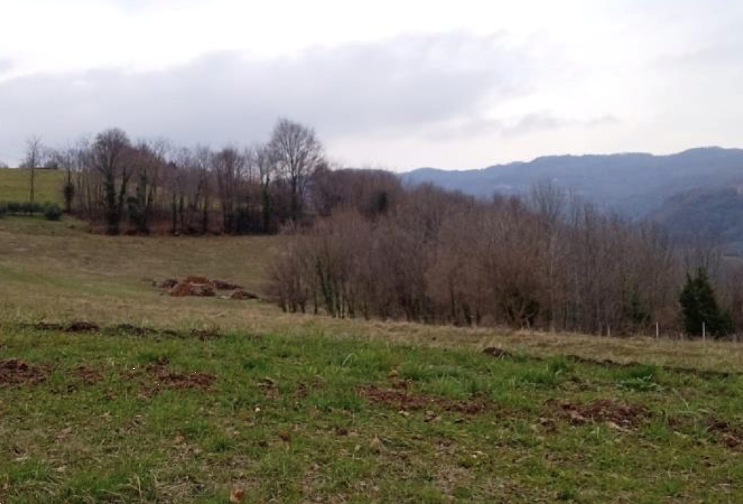 immagine annuncio 4 di 8