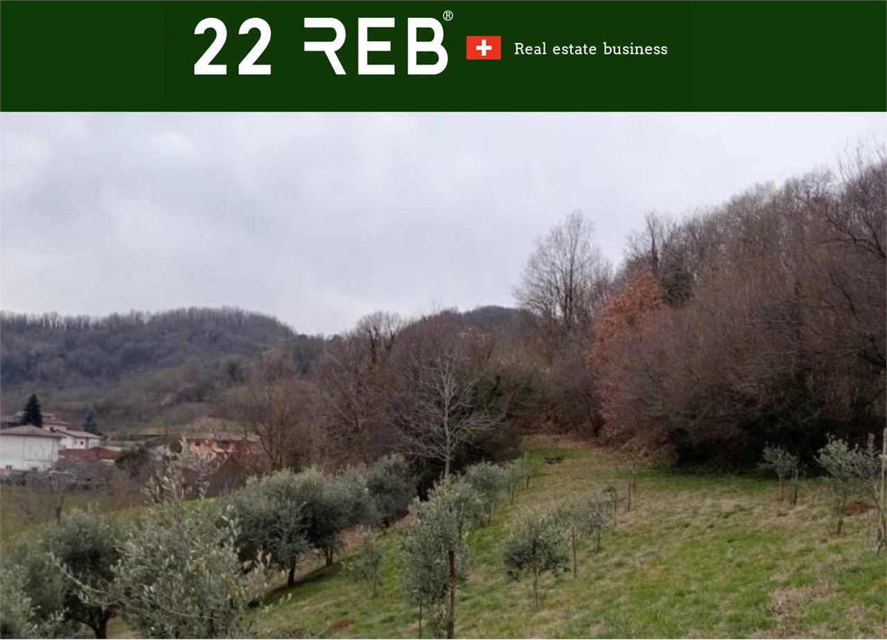 immagine annuncio 3 di 7