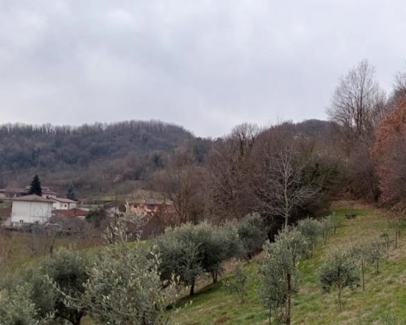 immagine annuncio 2 di 7