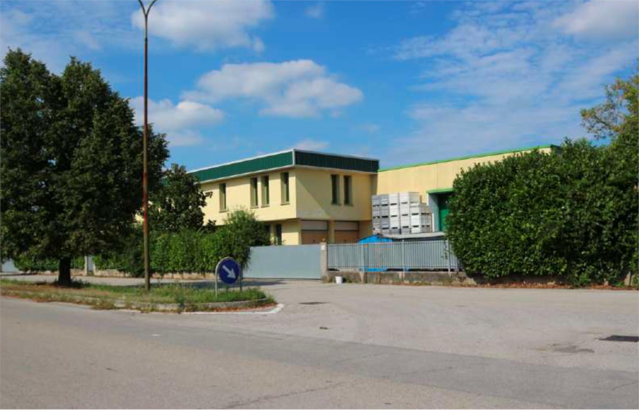 immagine annuncio 2 di 10