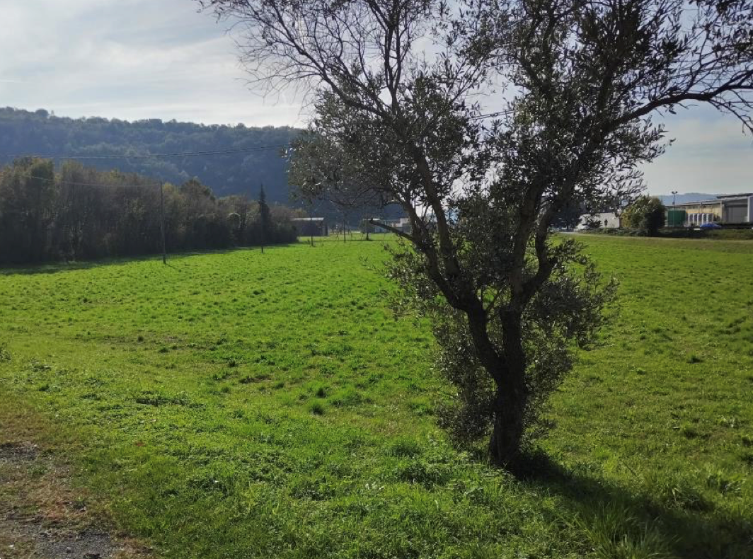 immagine annuncio 6 di 7