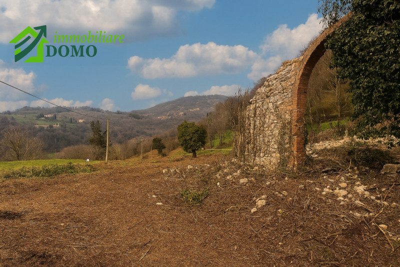 immagine annuncio 6 di 8