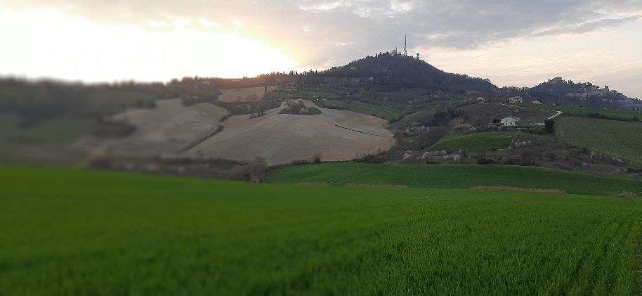 immagine annuncio 9 di 10