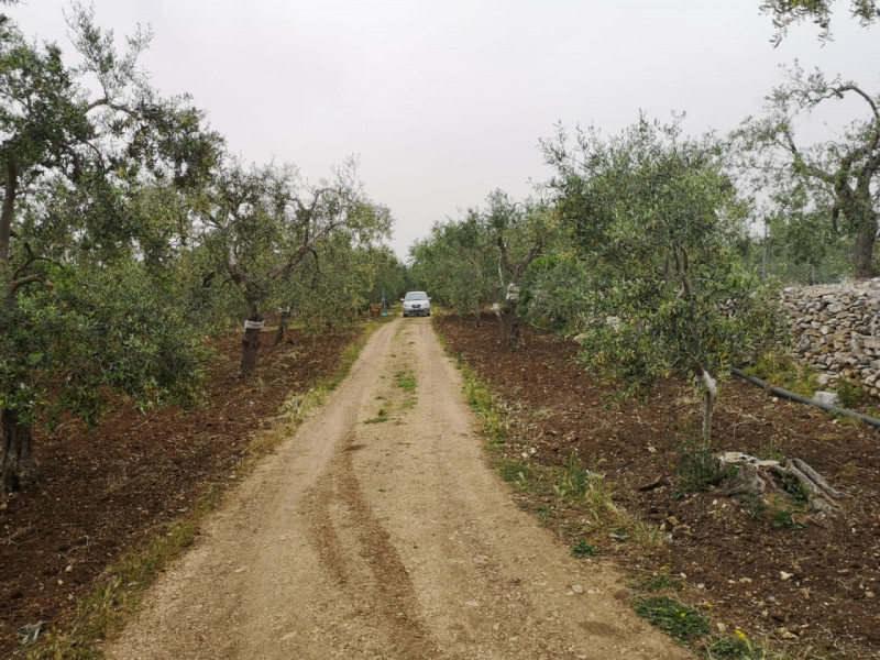 immagine annuncio 3 di 10