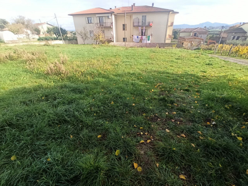 immagine annuncio 3 di 8