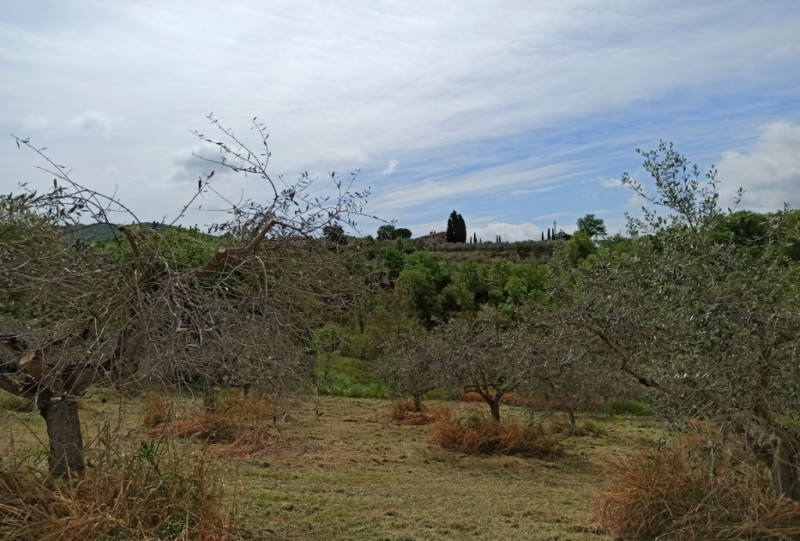 immagine annuncio 3 di 4