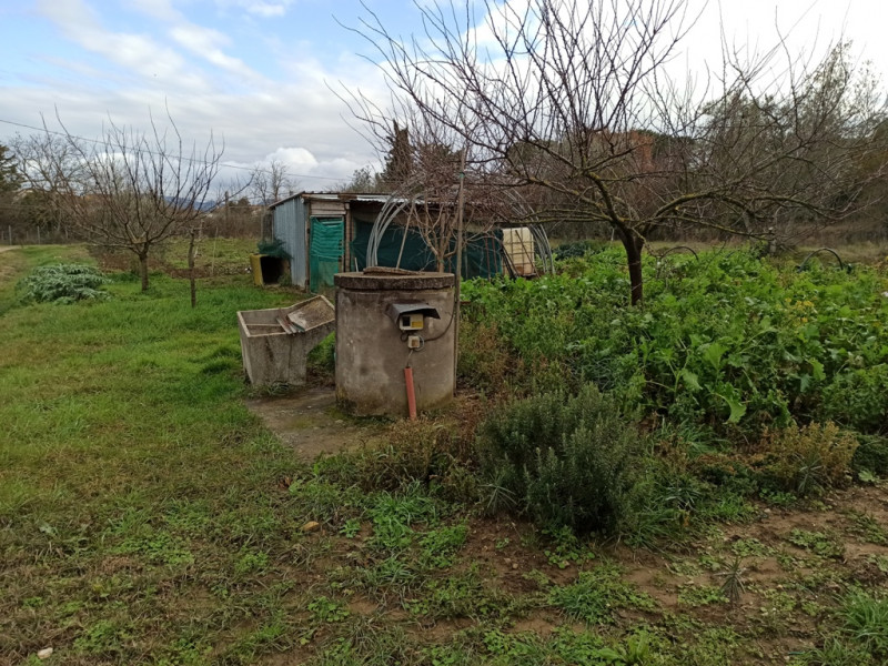 immagine annuncio 1 di 6