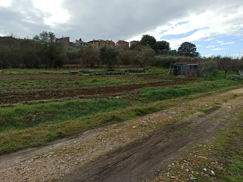 immagine annuncio 5 di 6