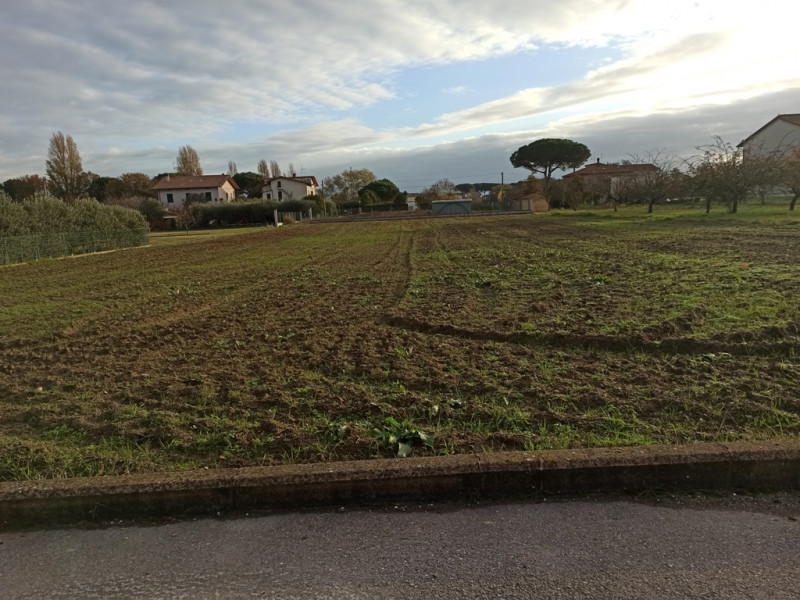 immagine annuncio 2 di 6