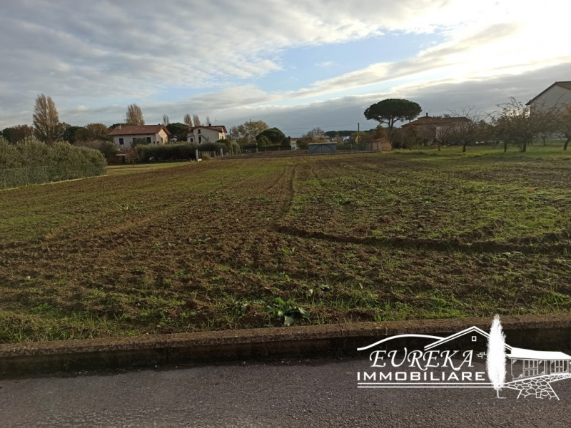 immagine annuncio 3 di 6