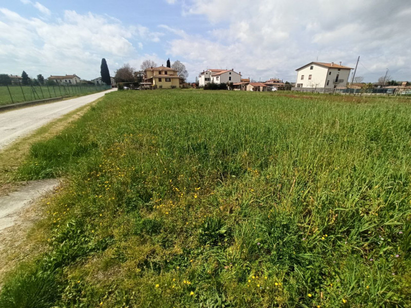 immagine annuncio 3 di 8