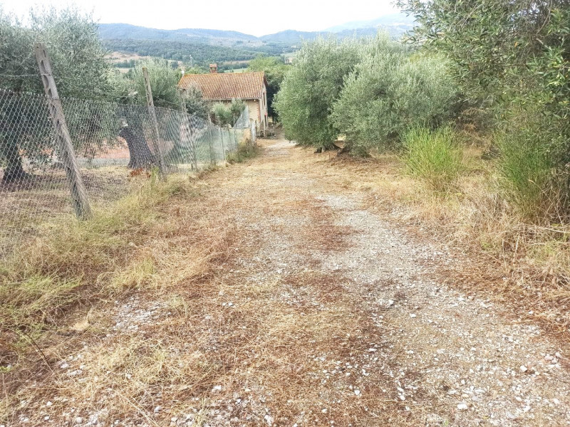 immagine annuncio 5 di 6