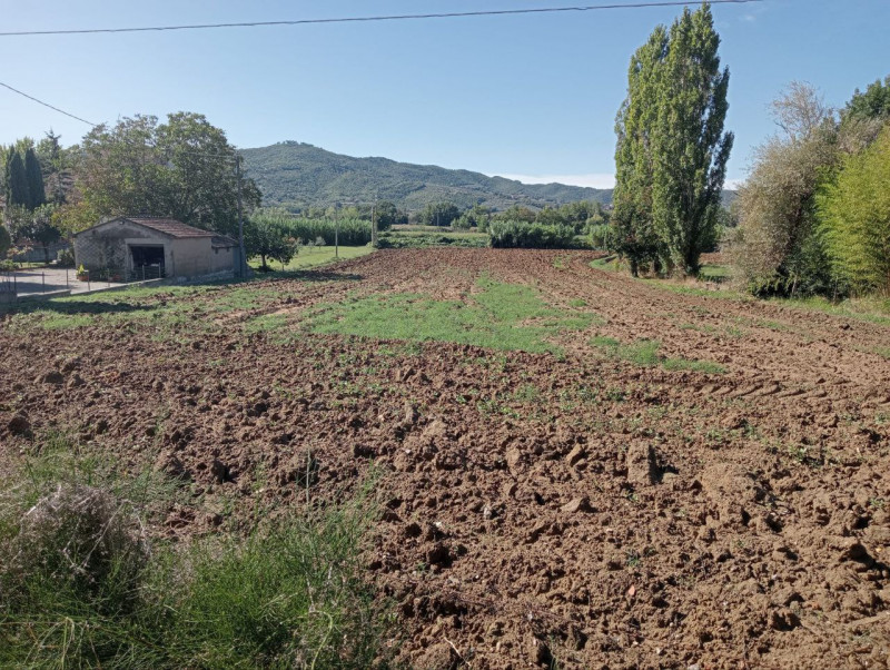immagine annuncio 2 di 6