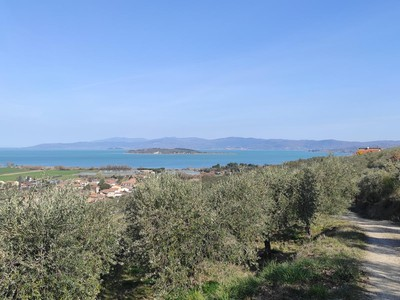 immagine annuncio 3 di 8