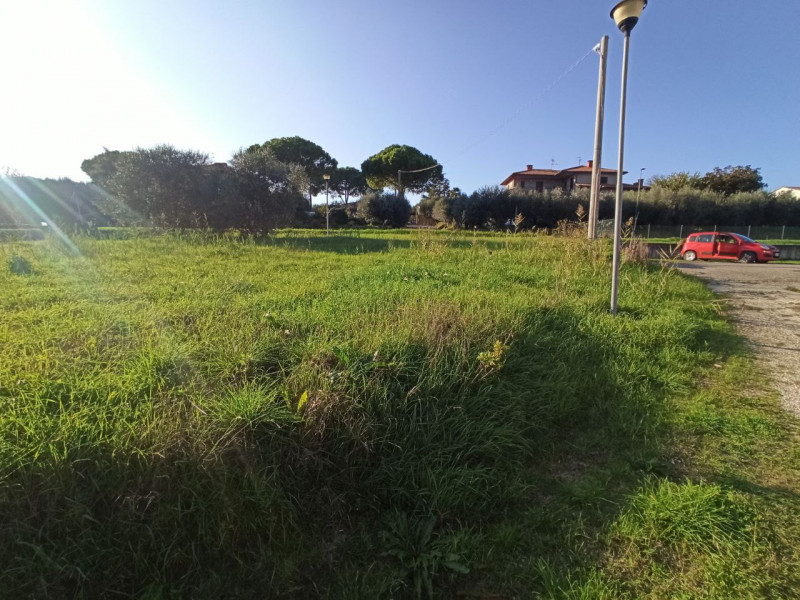 immagine annuncio 2 di 4