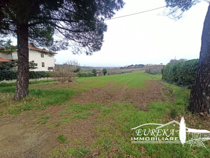 immagine annuncio 1 di 6
