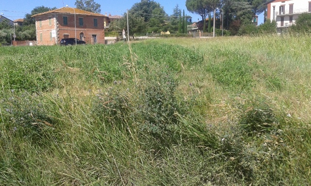 immagine annuncio 3 di 4