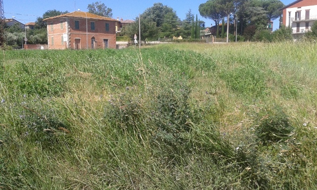 immagine annuncio 2 di 4