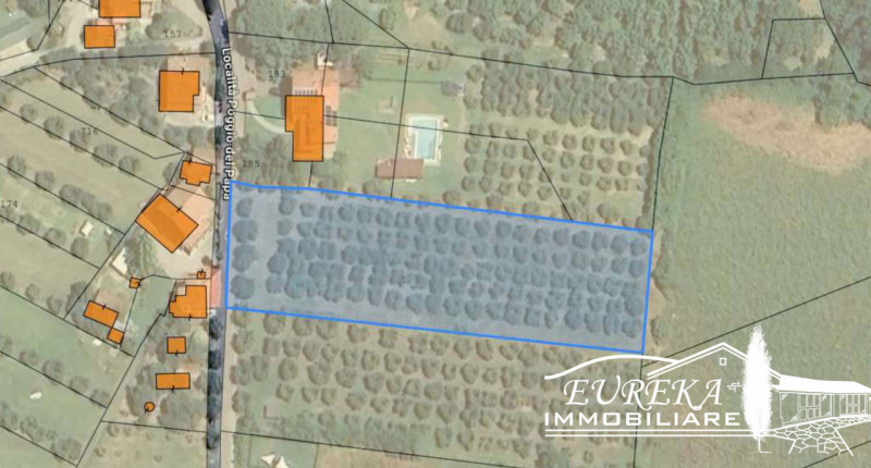 immagine annuncio 8 di 10