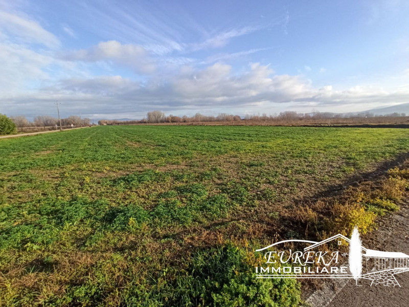 immagine annuncio 5 di 9