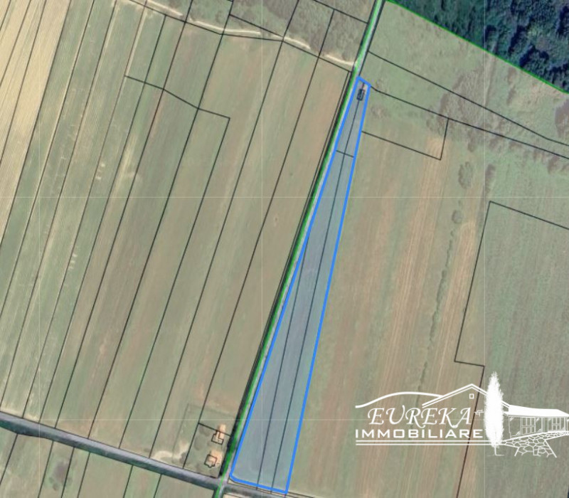 immagine annuncio 3 di 9