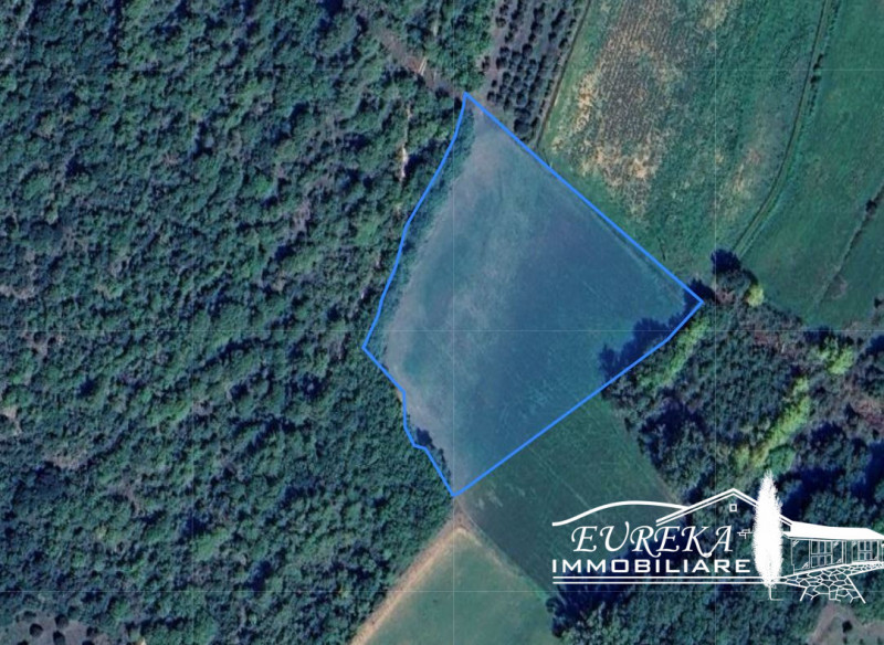 immagine annuncio 4 di 6