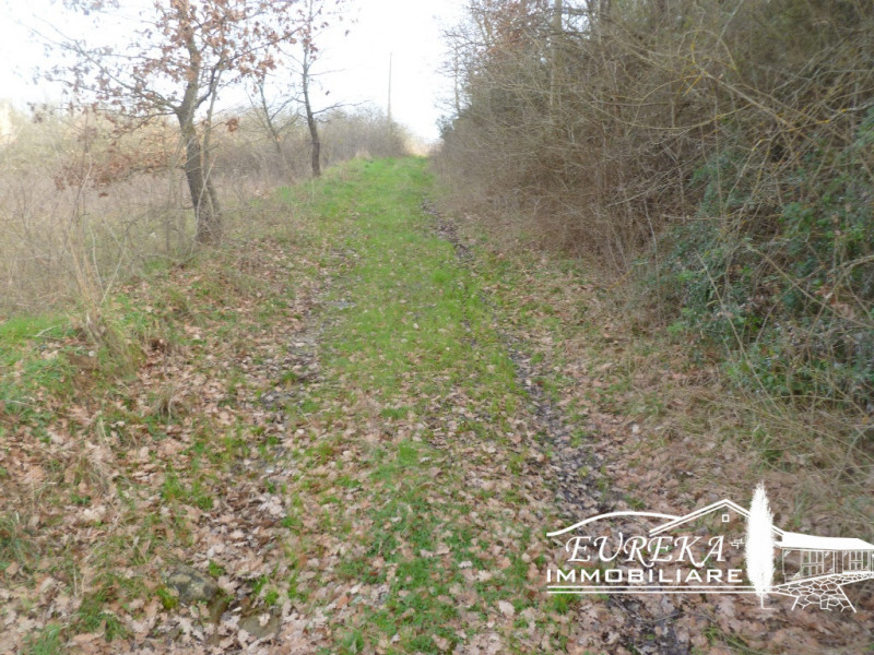 immagine annuncio 5 di 7