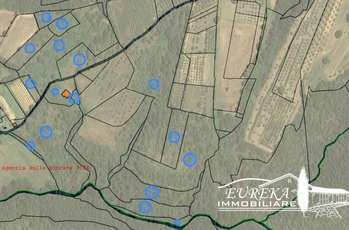 immagine annuncio 3 di 7