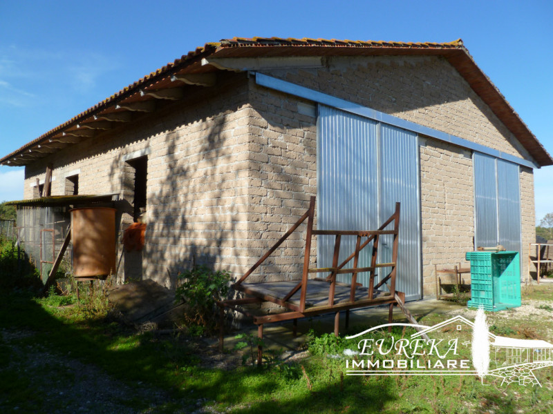 immagine annuncio 3 di 9