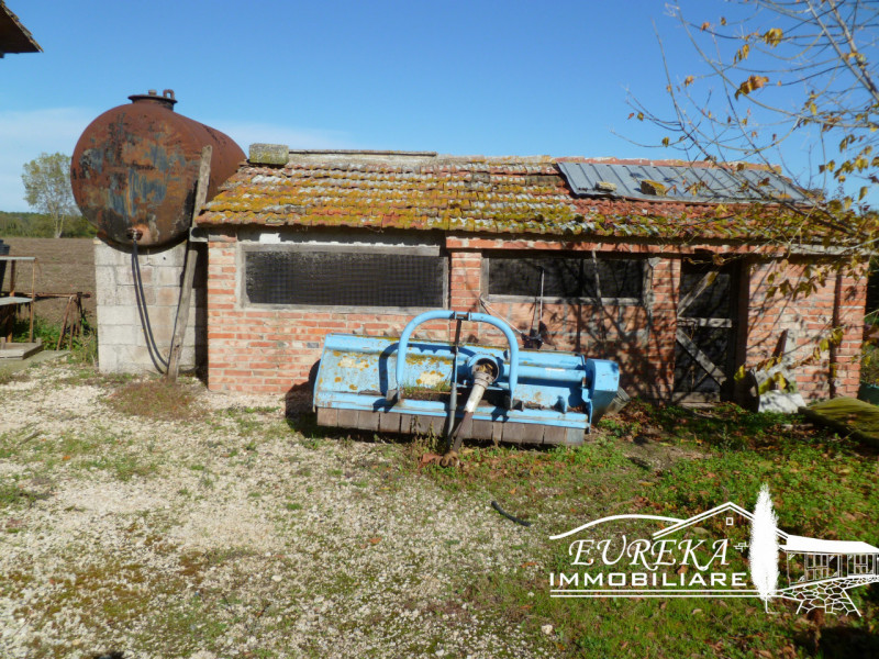 immagine annuncio 8 di 9