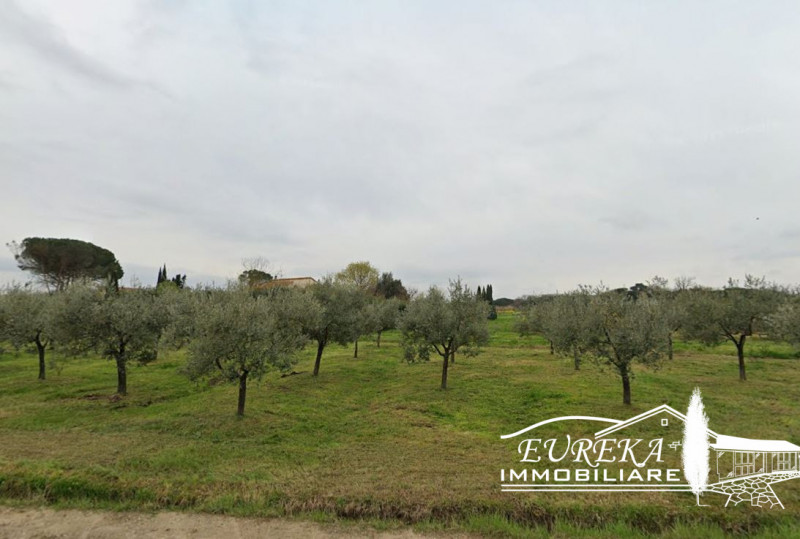 immagine annuncio 5 di 9