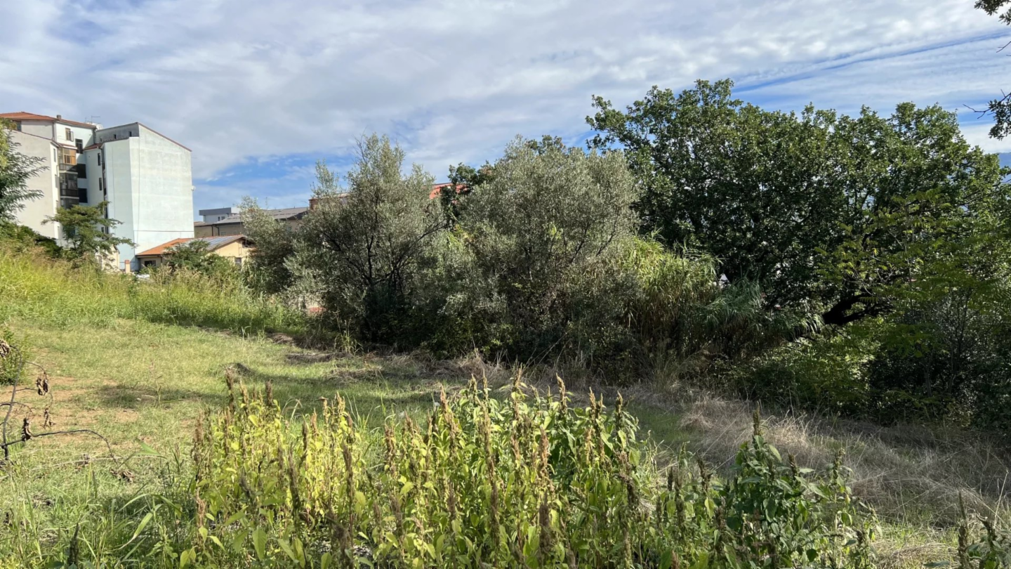 immagine annuncio 1 di 4