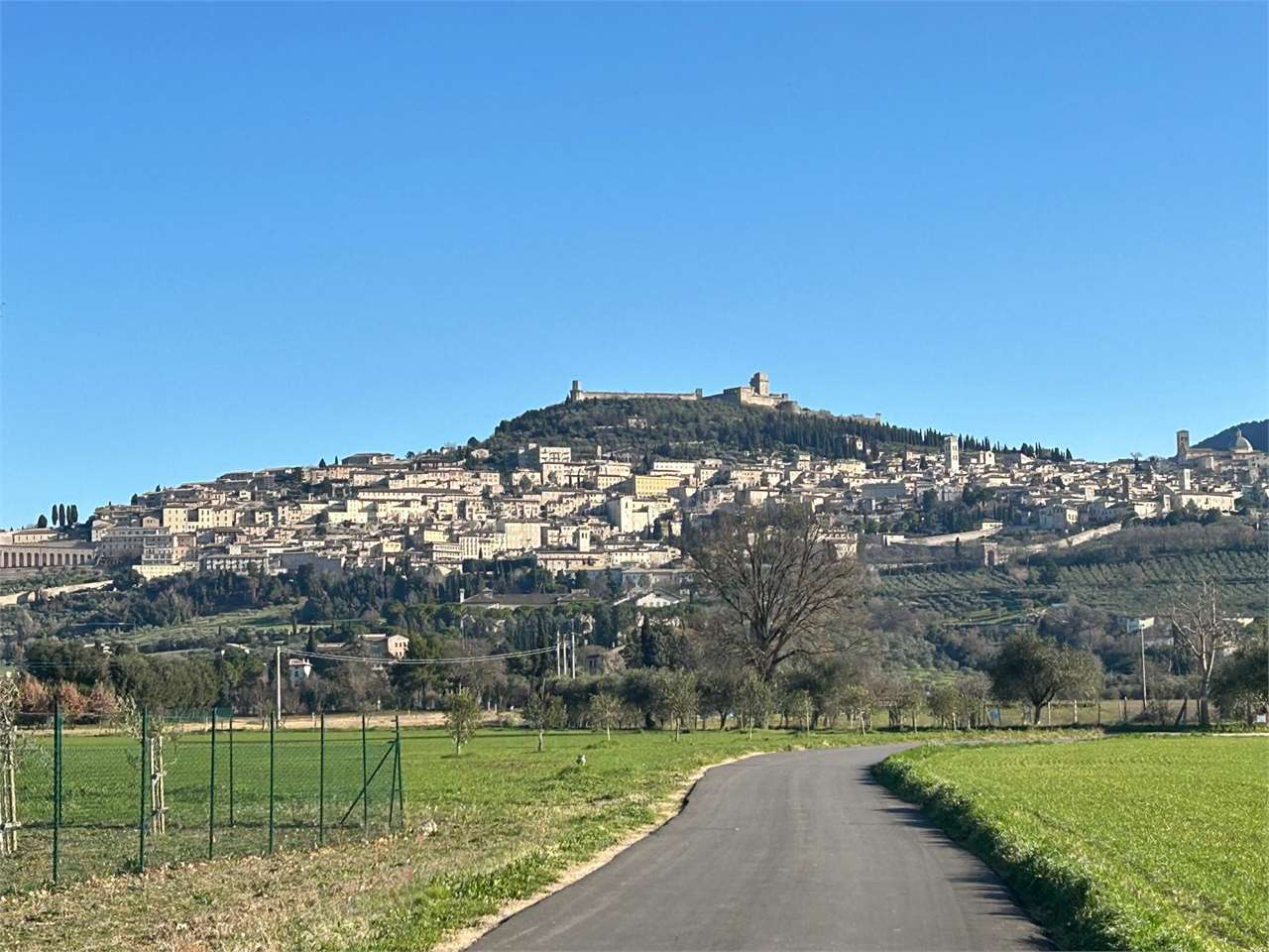 immagine annuncio 1 di 6