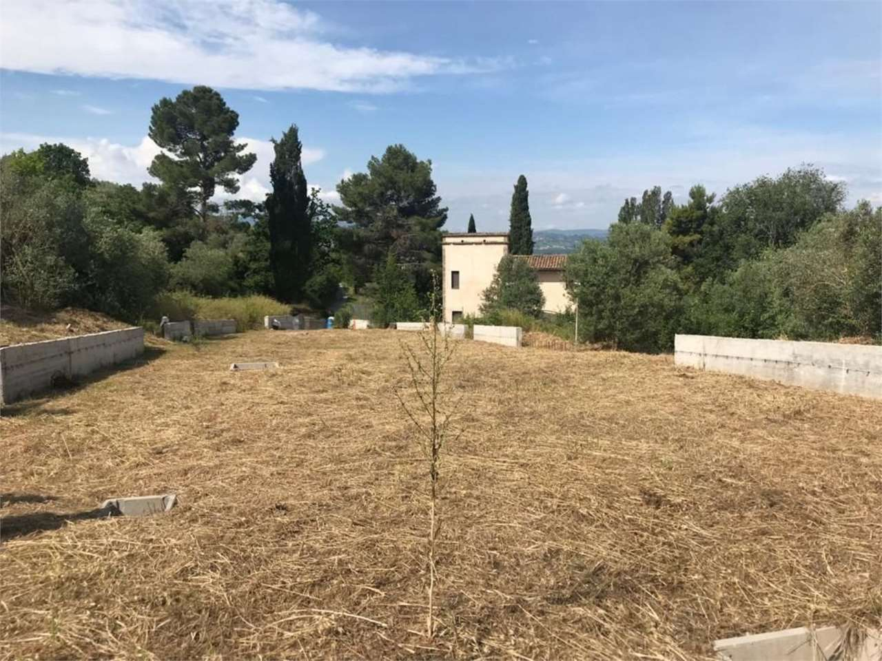 immagine annuncio 4 di 7