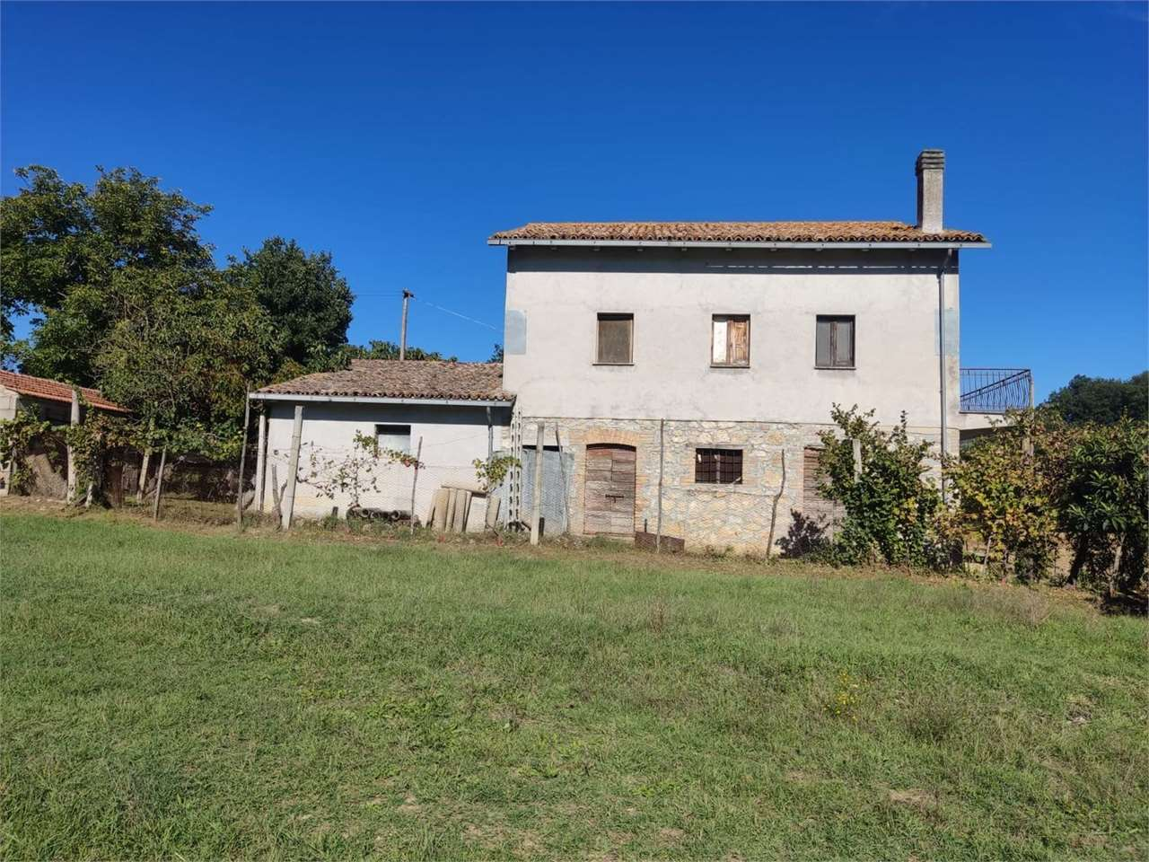 immagine annuncio 1 di 10