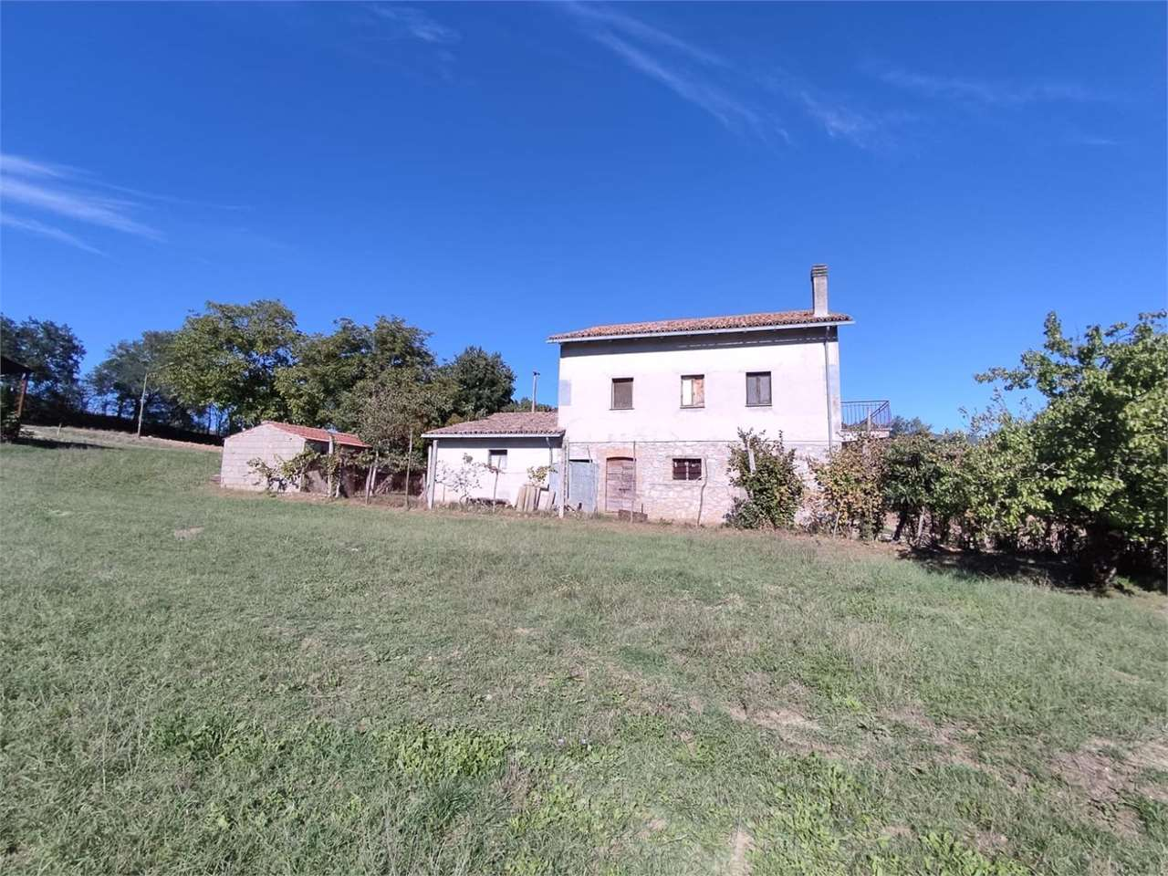 immagine annuncio 3 di 10