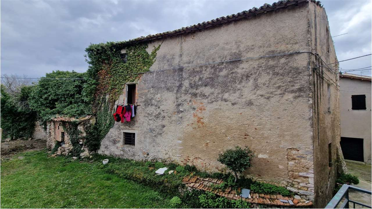immagine annuncio 2 di 7