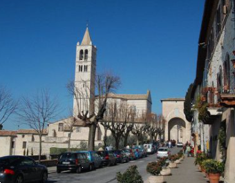immagine annuncio 3 di 8