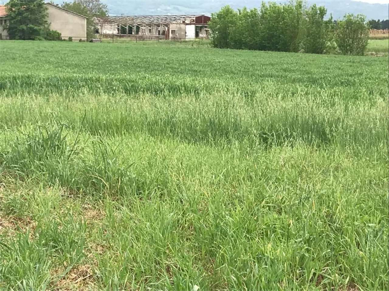 immagine annuncio 4 di 7