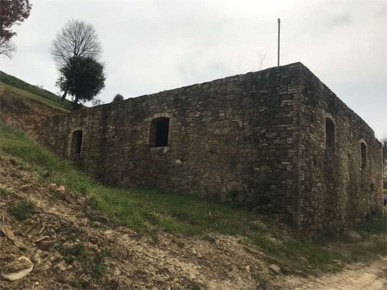 immagine annuncio 2 di 10