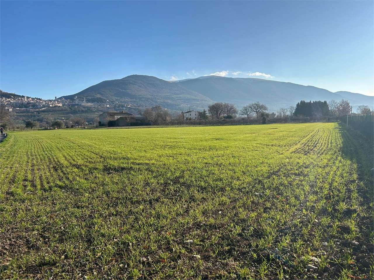 immagine annuncio 2 di 6