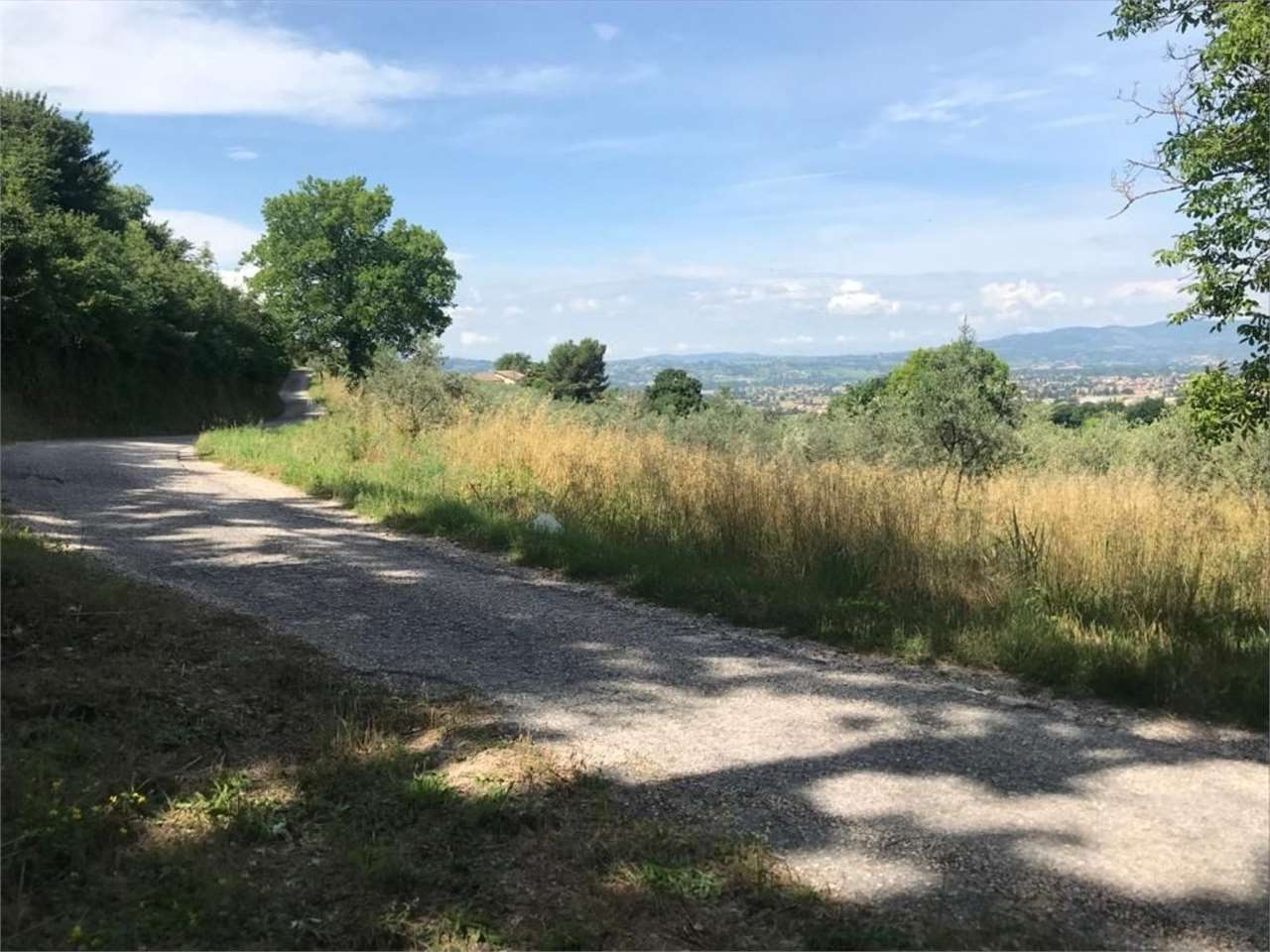 immagine annuncio 6 di 7