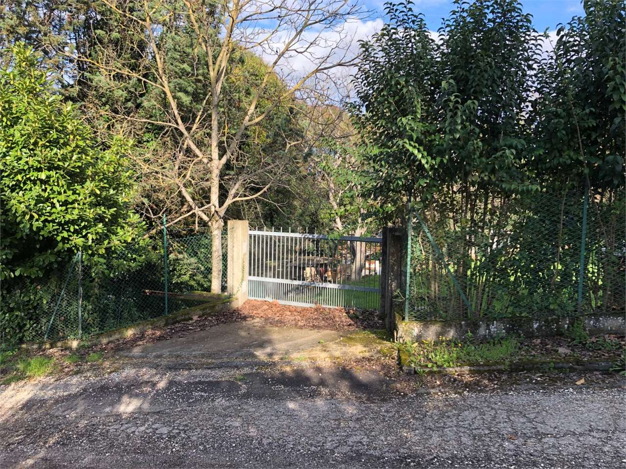 immagine annuncio 3 di 10